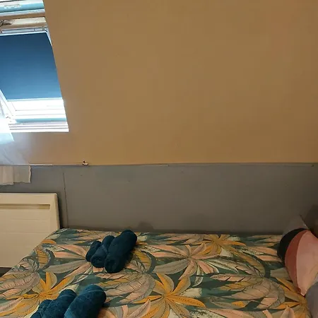 Alojamento de Acomodação e Pequeno-almoço D'hote Avec D'autre Voyageur